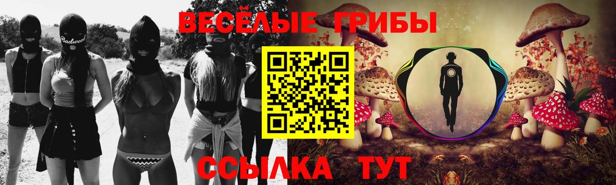 где купить наркотик  Вход с VPN  Коряжма  Галлюциногенные грибы MAGIC MUSHROOMS 